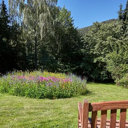 Strackis Chalet * Winterberg